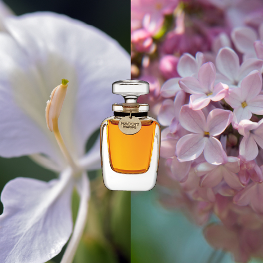 Macott Parfums 限定熟成香水 ピンクジンジャーリリー 発売日のお知らせ Antianti Organics ラボ便り